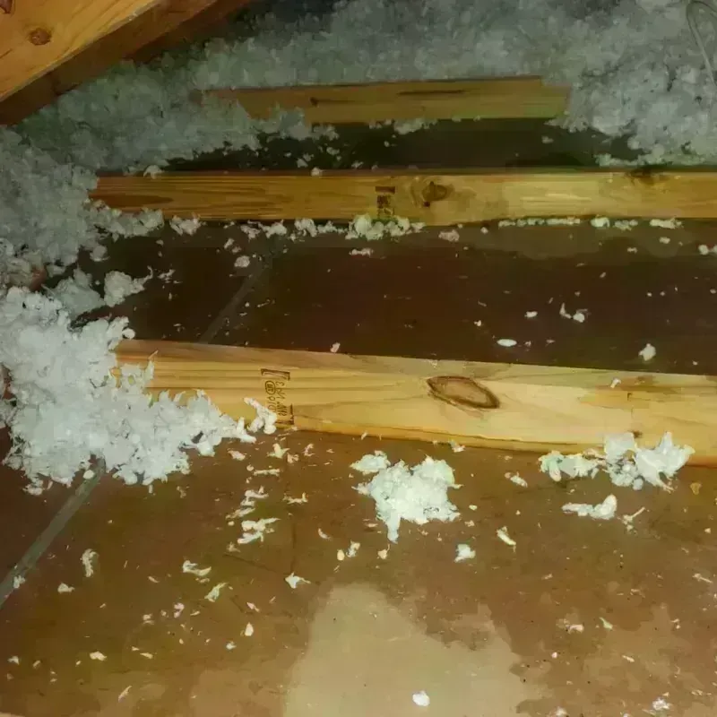 Attic Water Damage in Graniteville, NY